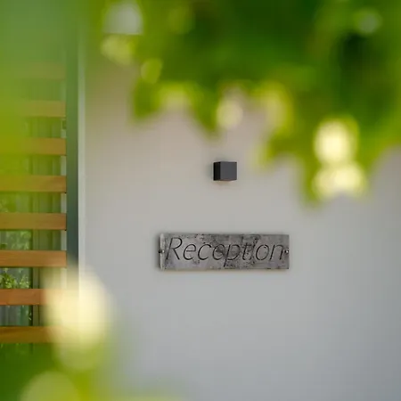 Revi - Con *